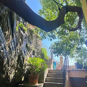 https://pensione-vernazza.hotelitalianriviera.com